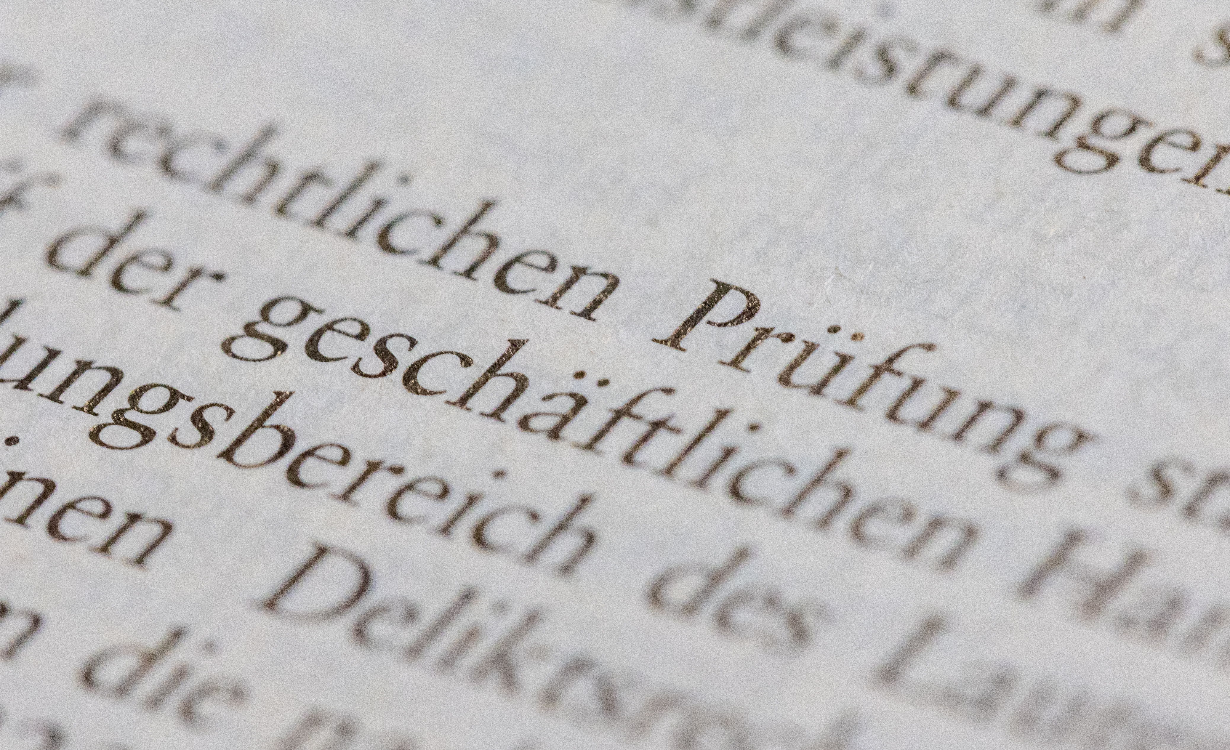 Wirtschaftsprüfung